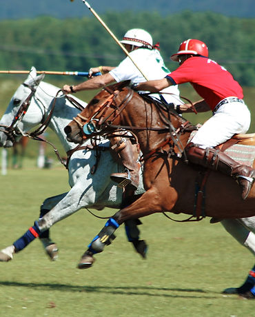 Polo Players
