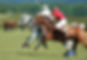 Polo players chasing ball
