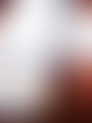 DAVID GUETTA REGRESA DE FORMA TRIUNFAL A ZAMNA TULUM ESTE 2026