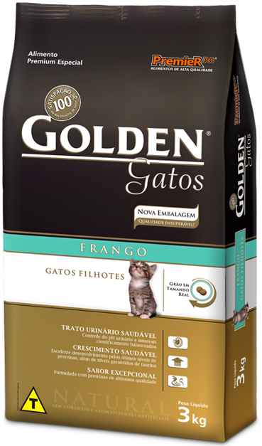 Golden Filhotes