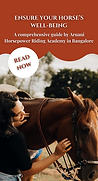 HORSEPOWER IG STORIES.png