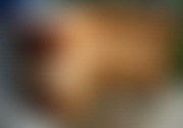 Courgette and lemon layer cake.