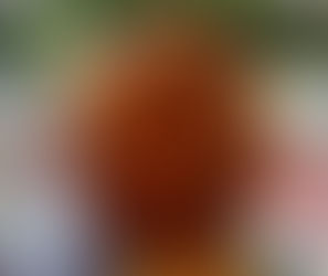 Seriously slow... melting banoffee muffins.