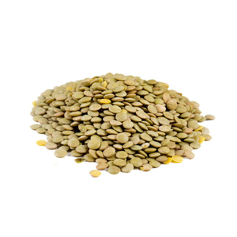 עדשים ירוקות טריות