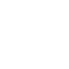 bloom(16).png