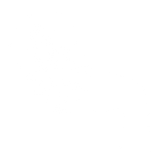 bloom(14).png