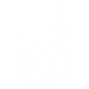 bloom(13).png