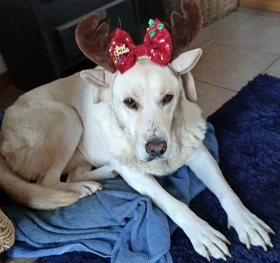 Vielen Dank, wir sind so gerührt!