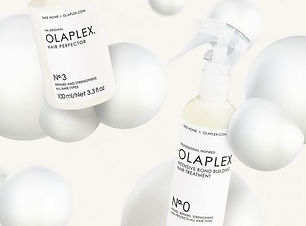olapl2.jpg