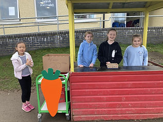 cyngor ysgol 2.jpg