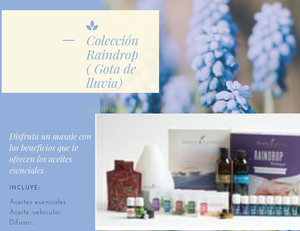 Kit Premium Raindrop Technique (Gota deLluvia)