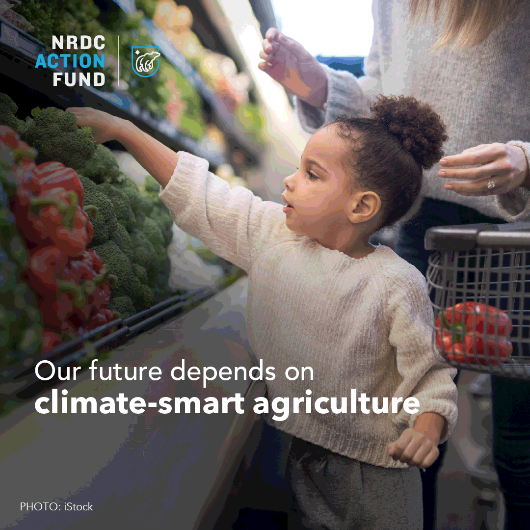 NRDC2482_FarmBill_Acquisition_Flip1_1080x1080v6.gif