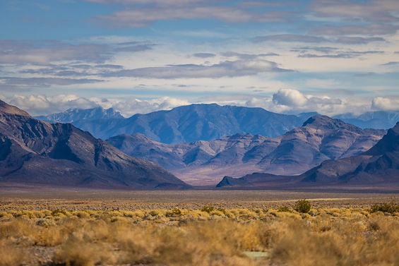 iStock-2187608475.jpg