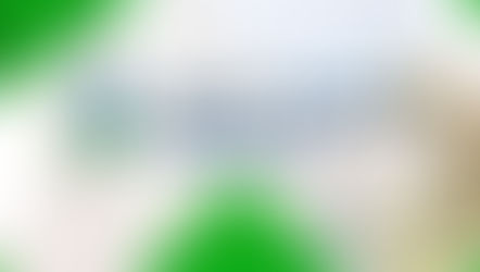 Casa Verde e Amarela: entenda o que mudará