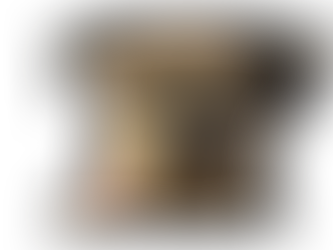 What is 'The Bello Project'?