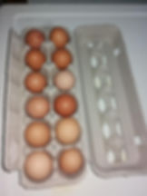 12 Free Range Eggs 走地鸡蛋 12个