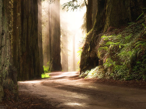 THOMAS D’ANSEMBOURG - Arrêtez de vouloir plaire, soyez vrai !