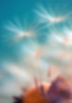 Marie Andrieu Formation Voyance et Créatrice Tarot Oracle