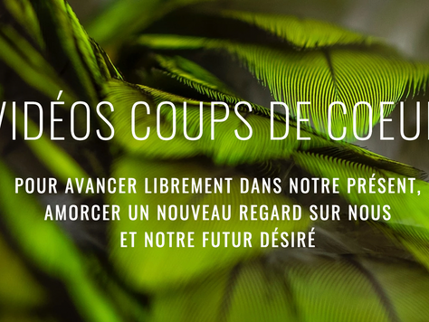 RETROUVEZ ICI DES VIDÉOS COUPS DE COEUR​