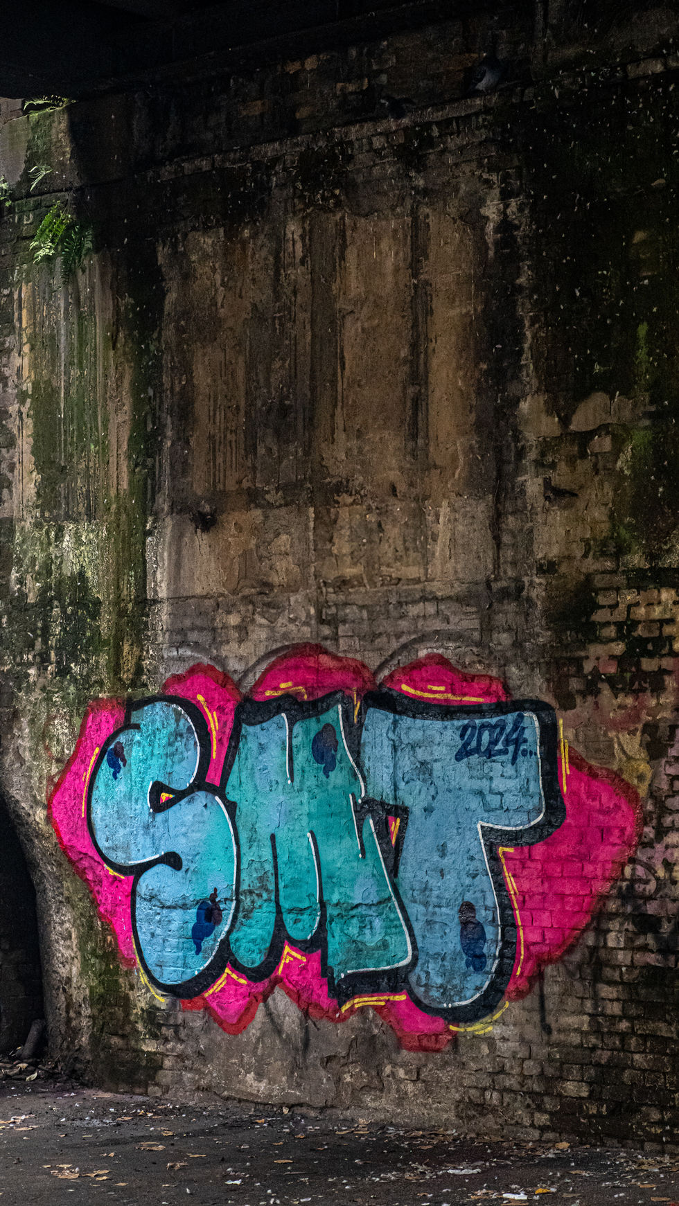 DSC00794