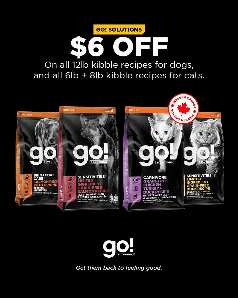 484821233_18393367576104790_46478602688349241_n