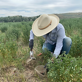 Dani Kusner performing soil consultation