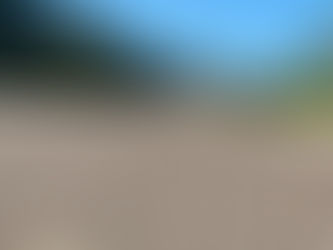 Obras da Avenida Baleia Franca serão retomadas