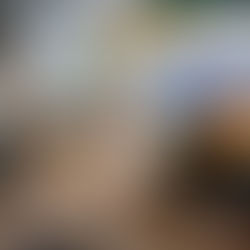 Camerata Florianópolis se apresenta no Dia da Padroeira de Imbituba e abre a programação de Natal da cidade.