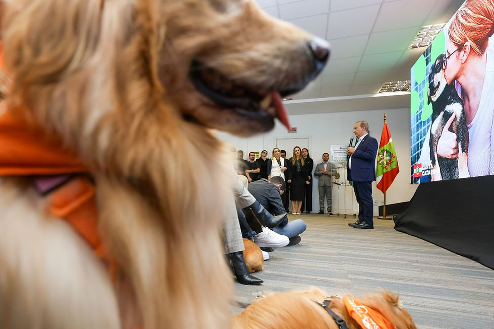 Governo do Estado inicia repasses a municípios do programa Pet Levado a Sério