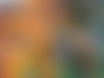 Carnaval 2024: Folia e economia aquecidas em Santa Catarina