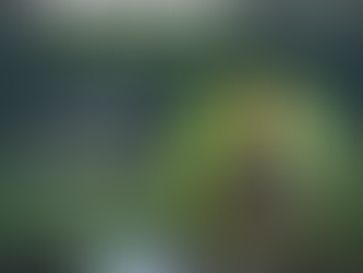 Palestra sobre saneamento ecológico irá encerrar Semana do Meio Ambiente