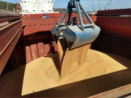 Com 6 navios confirmados, Porto de Imbituba se prepara para receber safra de soja
