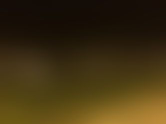 Ação conjunta das polícias Civil e Militar desarticula organização criminosa em Imbituba e região