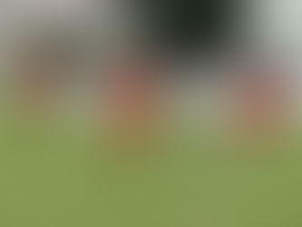 Copa Sul dos Campeões