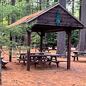 picnic_edited.jpg