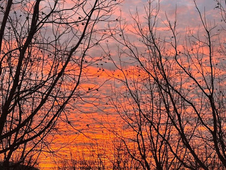 Máximas de 31 grados durante este martes en Jiménez y la región 🔥
