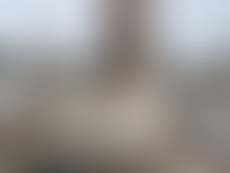 Jueves con máximas de 21 grados en Jiménez y la región