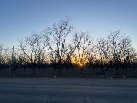 Comienza fin de semana con temperaturas máximas de 30 grados en Jiménez y la región 🔥