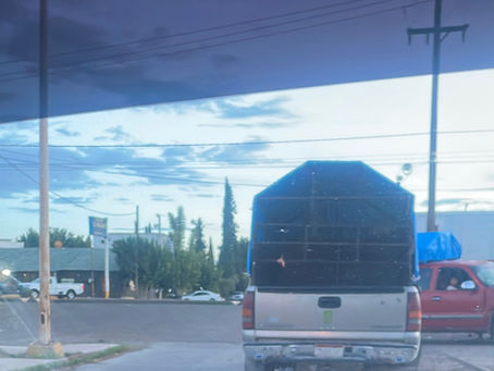 Jueves de vientos fuertes para Jiménez y la región