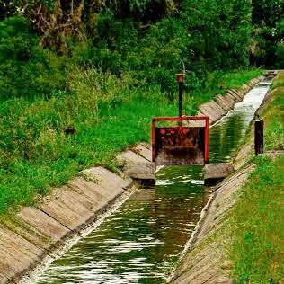 Atacan abejas a bebé y mujer en el canal de La Hacienda