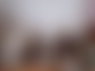 Maru Campos participa en Sesión del Consejo Nacional de Seguridad Pública