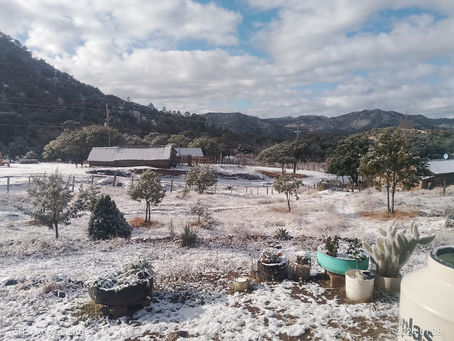 Prevé CEPC temperaturas frías para las próximas horas en el Estado