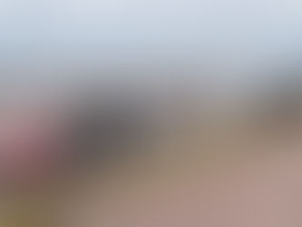 Vuelca trailer en carretera Gómez Palacio - Jiménez