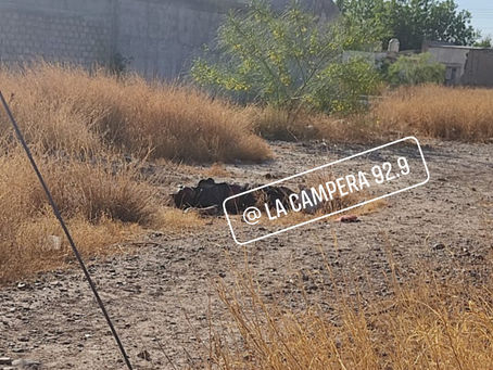 Localizan sin vida a hombre de la etnia indígena en el barrio de la Estación