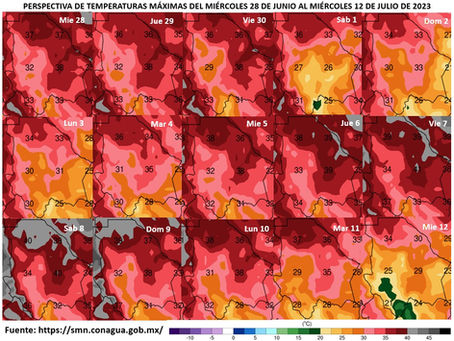 Jueves de viento, calor y probabilidades de lluvia para Jiménez y la región