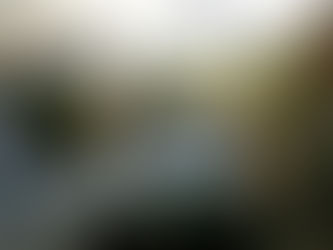 Empalan y queman a sujeto presuntamente responsable de atacar a Sacerdote y Presidenta Seccional de Dolores