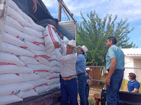 Más de 6 mil productores agropecuarios han sido beneficiados con insumos para el campo