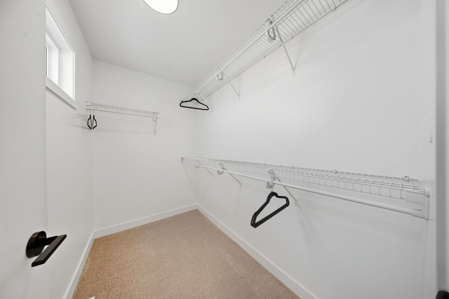 Primary walk-in closet at 289 Granite Grove Road with built-in storage and hanging space.