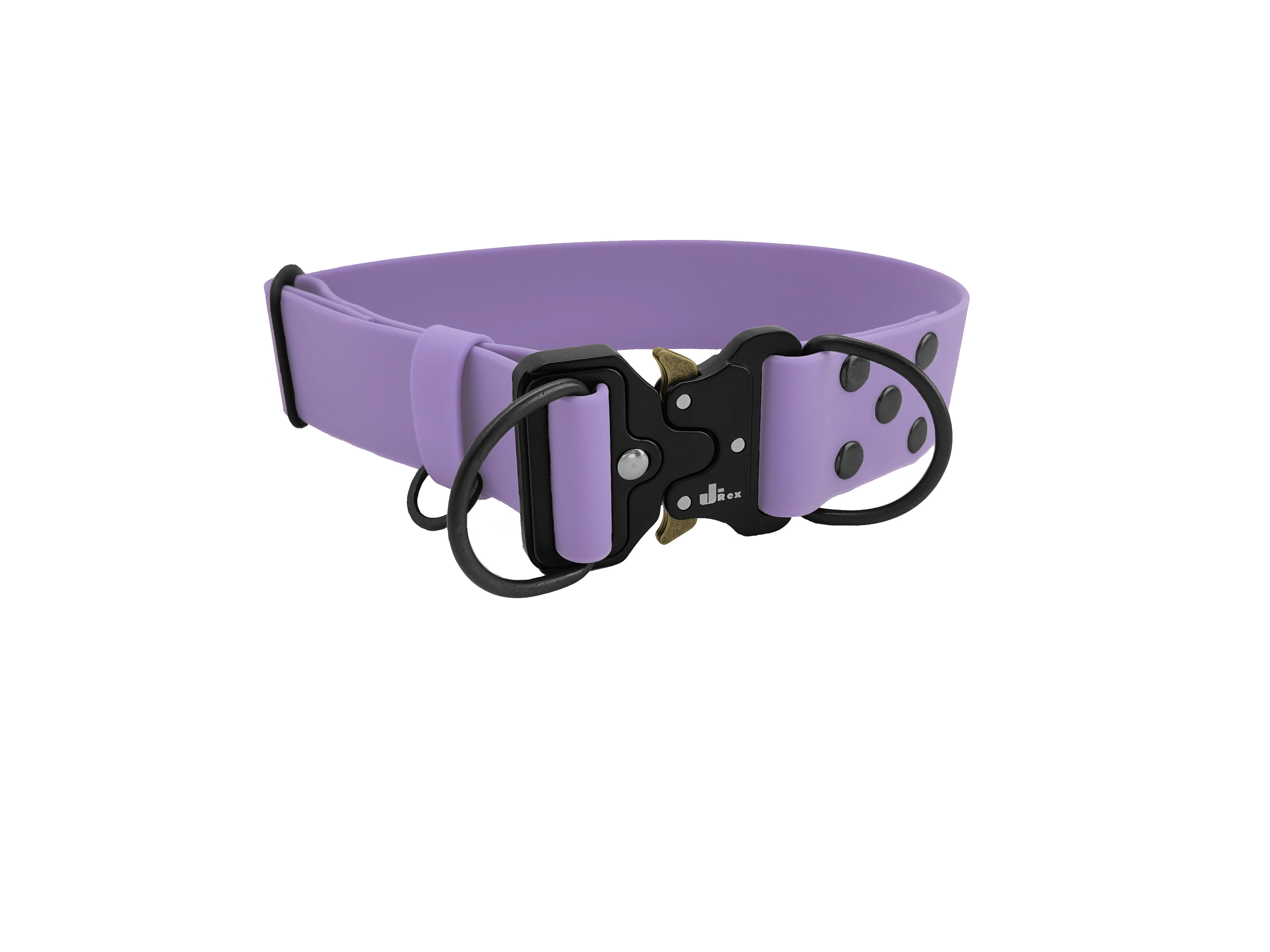 Ошейник Триас , 40 мм, металлическая пряжка "Cobra",