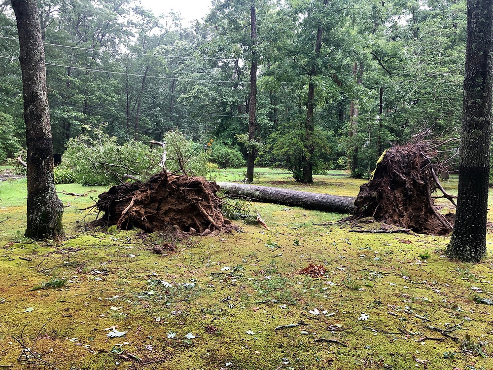DeHuff’s property in Shamong, N.J.